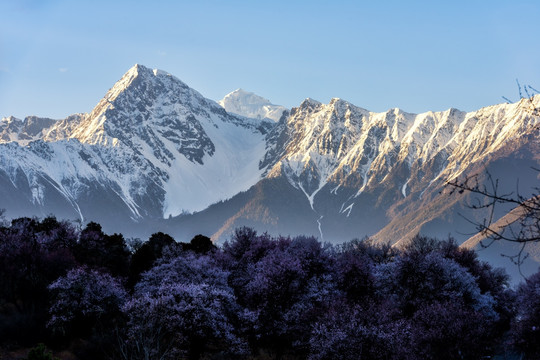 藏地神山