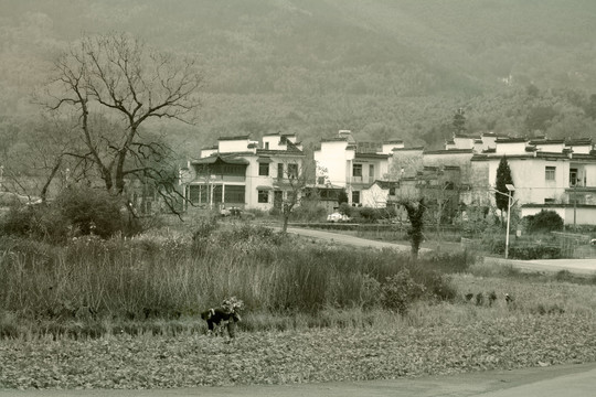 水墨农村