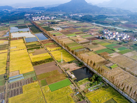 田园风光