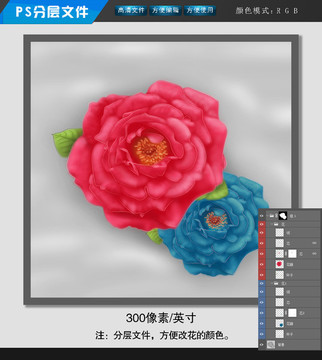 月季電腦繪畫