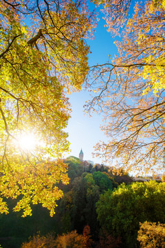 金黄的卢森堡秋天