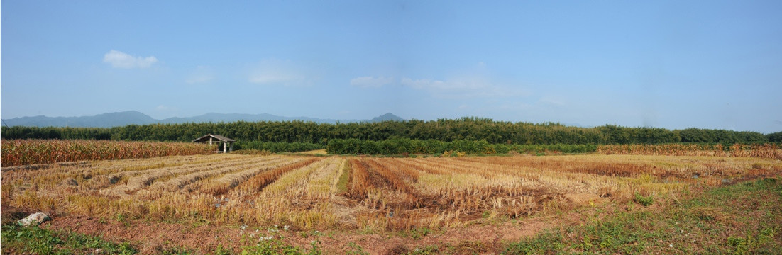 田园风景