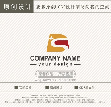 DS字母財(cái)務(wù)公司logo