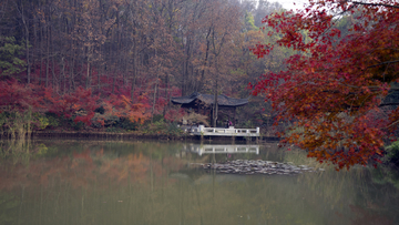 栖霞山枫林湖