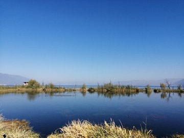 水中的鸟屿