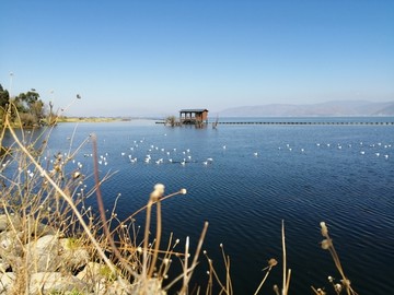 泸沽湖