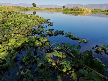 湖水