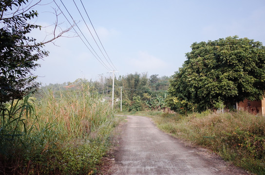 农村乡村小道小路