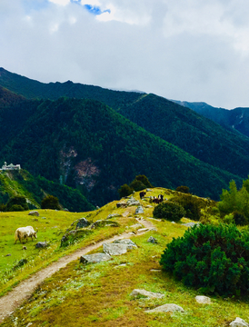 高山牧场