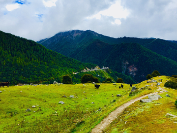 高山牧场