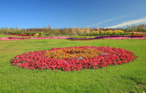 园林花卉