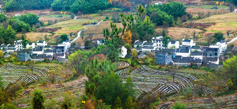 黟县卢村