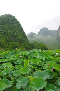 风景