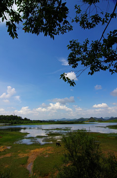 晴朗天空