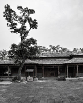 武館