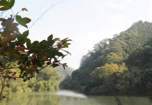 绿水青山