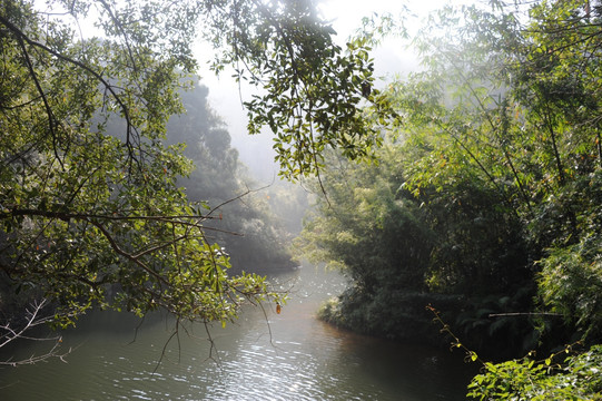 山溪水