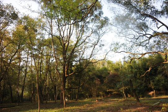 田园风景