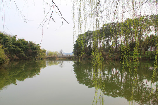 棠樾牌坊鲍家花园