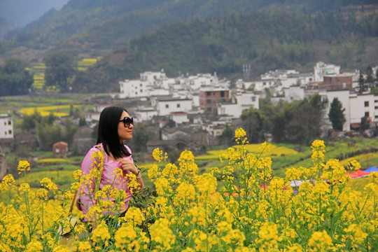 江岭油菜花