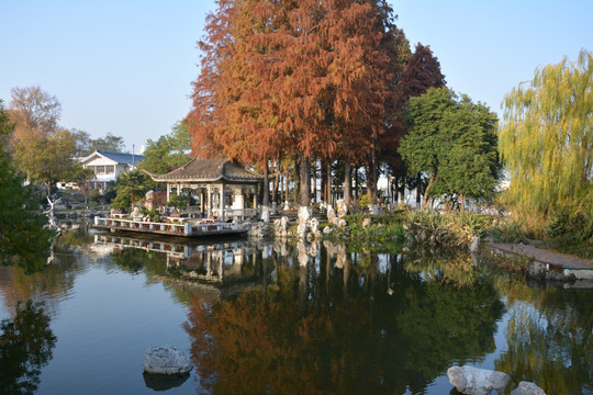 河塘美景倒影