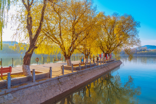 南阳湖风景