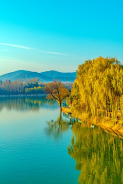 青州南阳湖风景