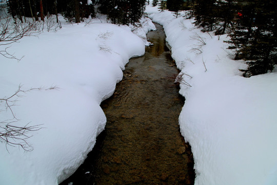 雪地小溪