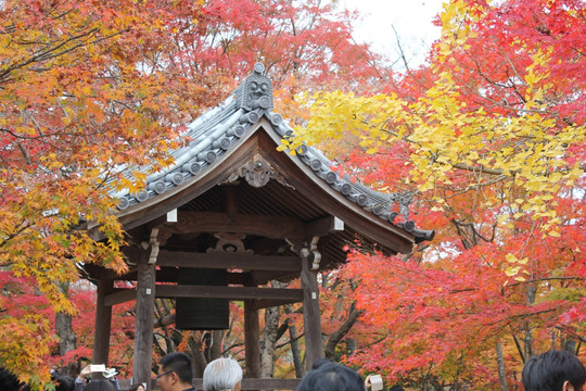 常寂光寺