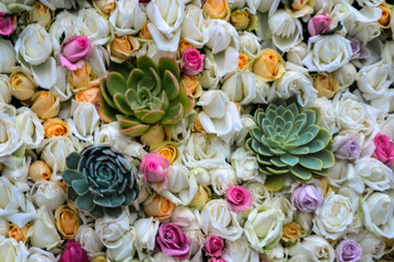 花卉素材背景墙