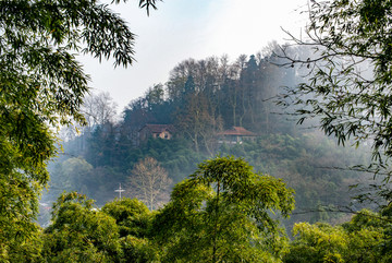 莫干山红枫叶晚秋别墅