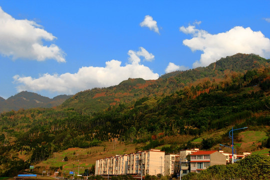 荥经黄家村五里山秋色