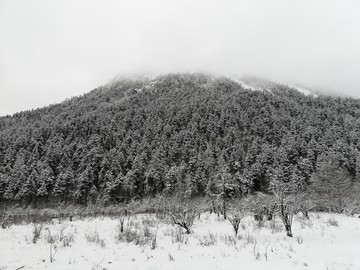 阿坝州毕棚沟景区冬季实拍