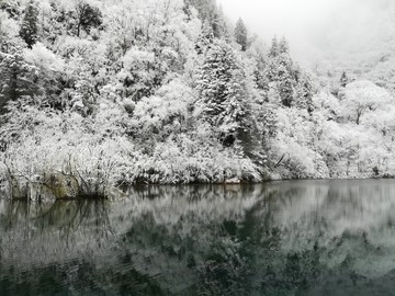 阿坝州毕棚沟景区冬季实拍