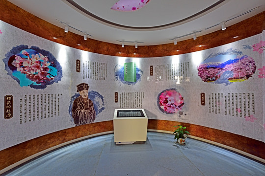 展览展示