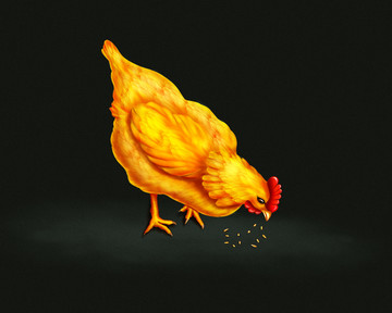 雞