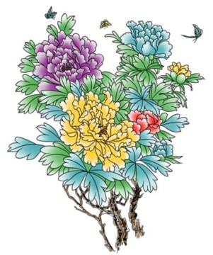 牡丹花
