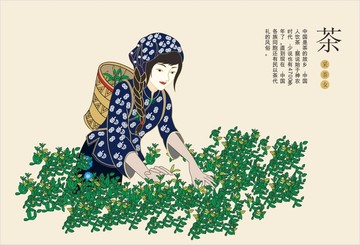 采茶女