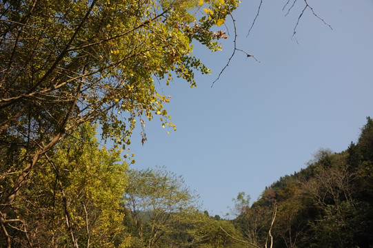 山坡风景