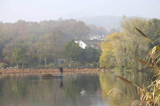 江南水乡风景