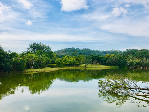 深圳莲花山公园