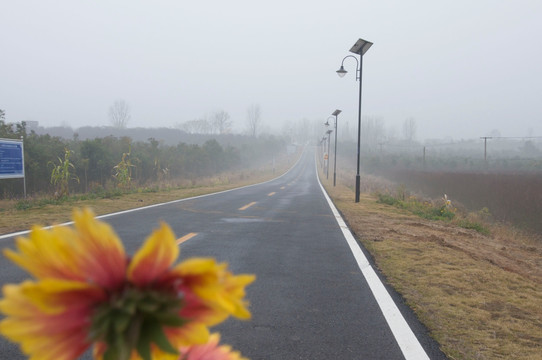 初冬的乡村公路晨曦