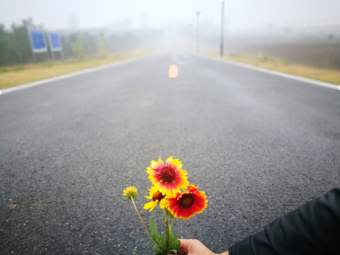 初冬的乡村公路晨曦