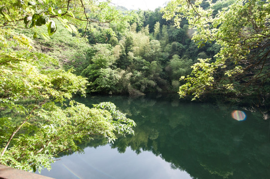 安徽石台醉山野