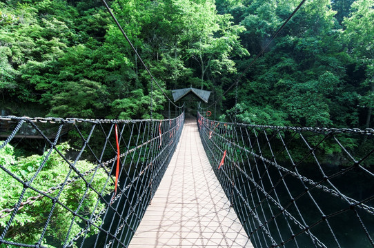 安徽石台醉山野