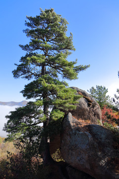 仙翁山