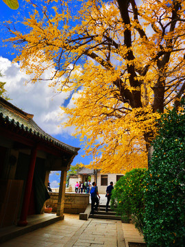 青岛崂山风光