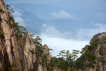 黄山猴子观海