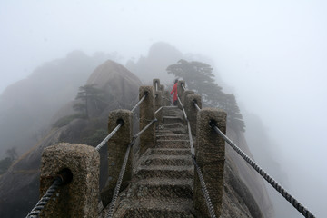 黄山鲫鱼背