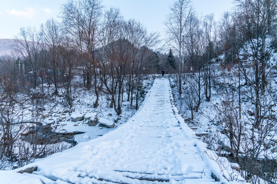 林海雪原